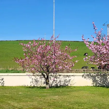 Cosy Family Tatil Evi